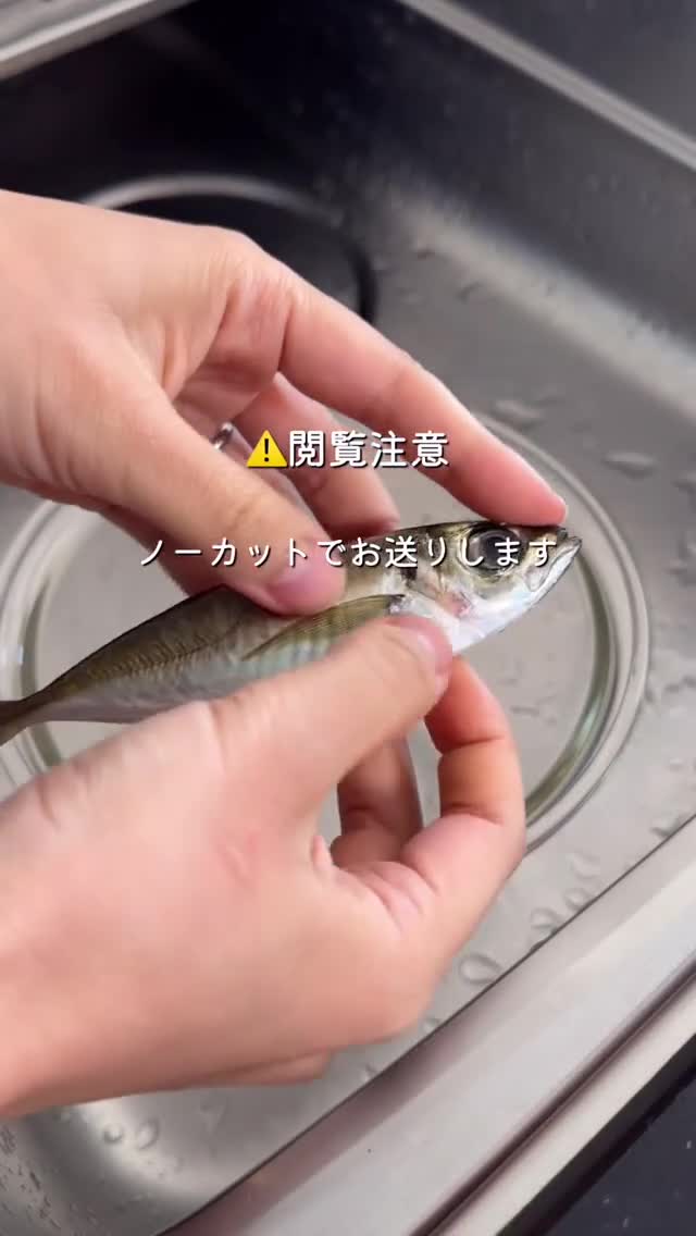 一瞬でできる!アジ下処理🐟