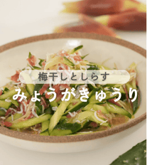 この夏ハマる！きゅうりとみょうがの梅しらす和え🤤