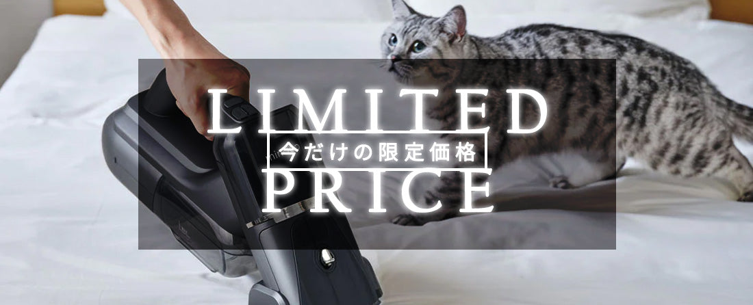 【SALEスタート📣】今欲しいアイテムがお買い得！特別プライスでお届け✨
