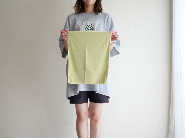 《単品》【BIRDY.TEX/バーディーテックス】キッチンタオル
