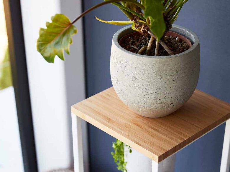 木製加湿器スタンドに置かれた鉢植えの植物