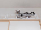 【CATROAD+/キャットロードプラス】 ワイドステップ450mm