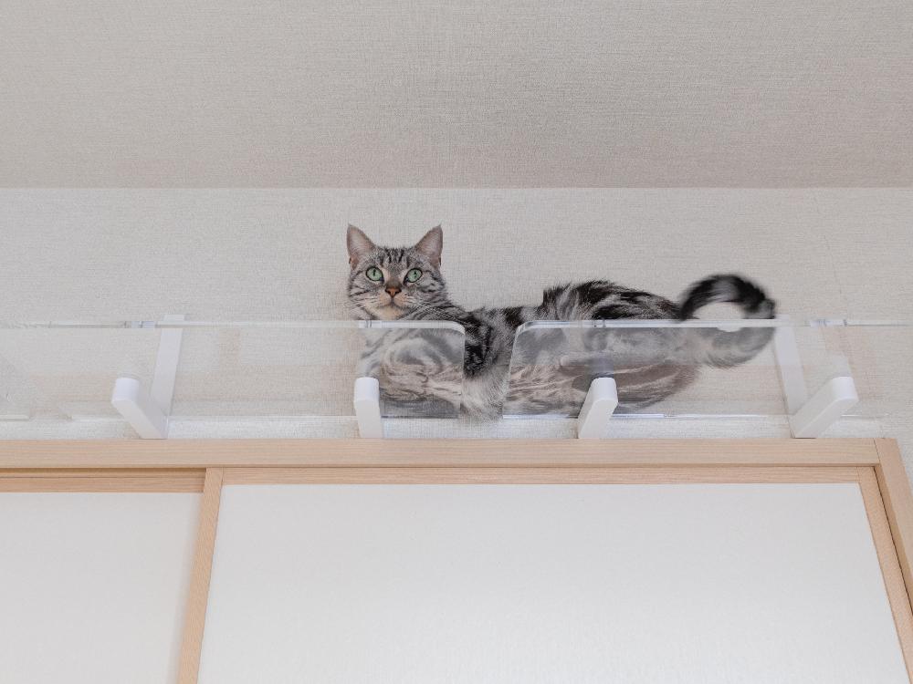 【CATROAD+/キャットロードプラス】 ワイドステップ450mm