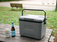 12L