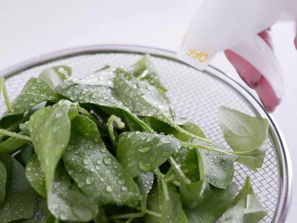 野菜あらいのお水 ベジセーフ