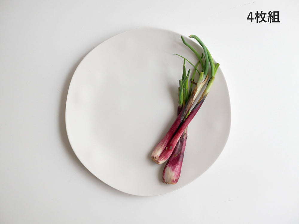 【ABODE Homeware/アボードホームウェア】美しくてタフな次世代メラミンプレート2枚組