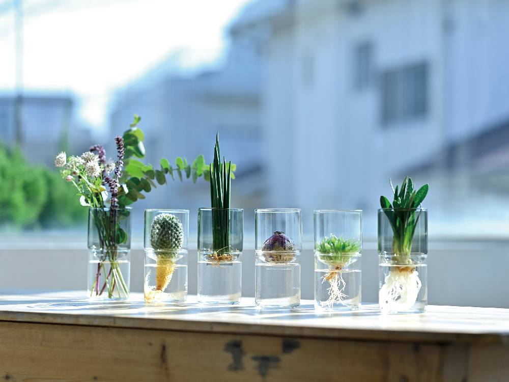 【HARIO/ハリオ】ガラスのある生活 ガラスの花器