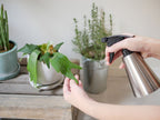 SALUS（セイラス）ミッテ ジョーロ、ステンレス製の花瓶に美しくアレンジされた室内植物