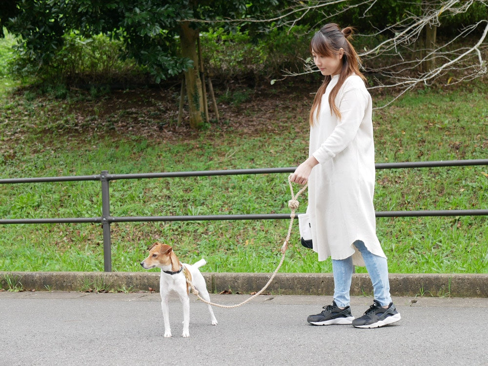 TOOLS FOR THE DOG ドッグリーシュ、手染めの日本製、長さ1200mmで中型犬に適した耐久性の高い散歩用リード