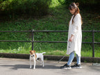 犬がTOOLS FOR THE DOG製のリードをつけて散歩している様子
