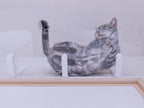 【CATROAD+/キャットロードプラス】 ワイドステップ450mm