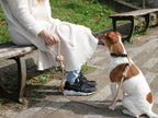 TOOLS FOR THE DOGの手染めドッグリーシュをつけた小型犬とスニーカーが並ぶ商品画像