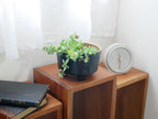 COSTA NOVA RIVIERA フッテッドボウル12cm