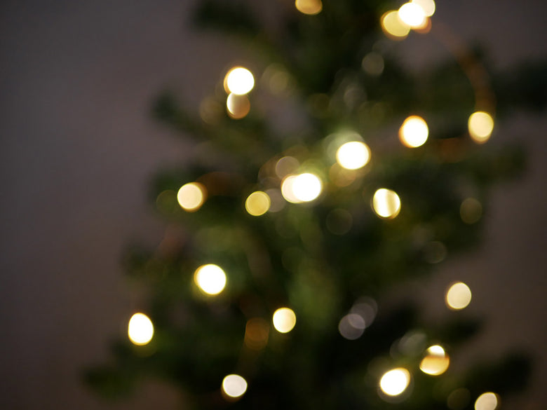 Horn PleaseのLEDワイヤーライトブリンク。1.5mまたは10mの長さで、USB接続式ACアダプター付き。点灯・点滅が8段階調節可能。