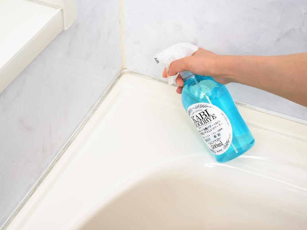 【Arnest/アーネスト】乳酸クリーナーカビグッバイ 500ml