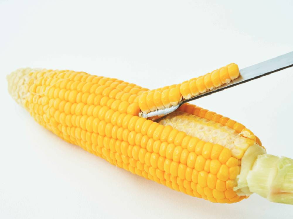 黄色いスイートコーンが並んだコーンオンザコブの食材画像