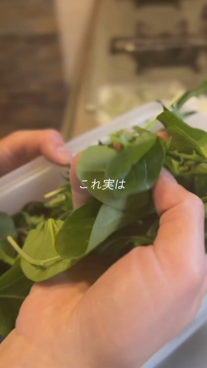 動画を読み込む: 